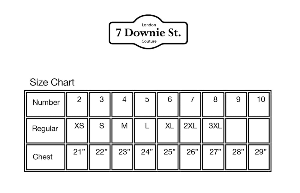 7 DOWNIE ST. LONG SLEEVE SHIRT- FW 26