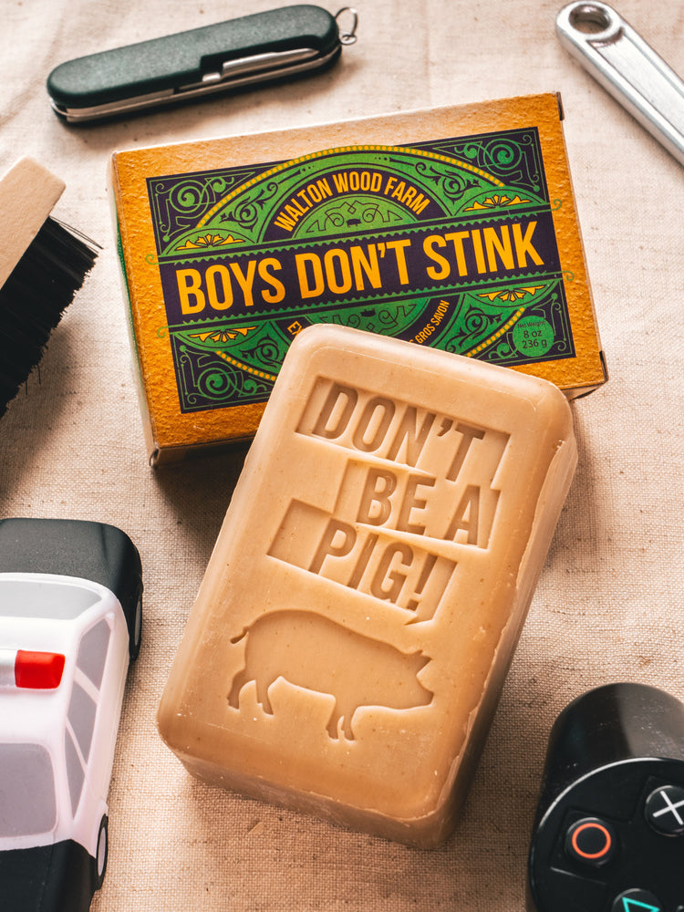 BOYS DON'T STINK SOAP BAR